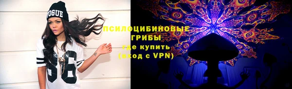 прущие грибы Гусь-Хрустальный