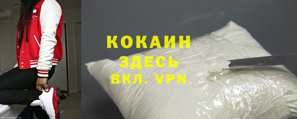 прущие грибы Гусь-Хрустальный