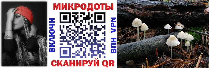 OMG зеркало  Каменногорск  Псилоцибиновые грибы мицелий 